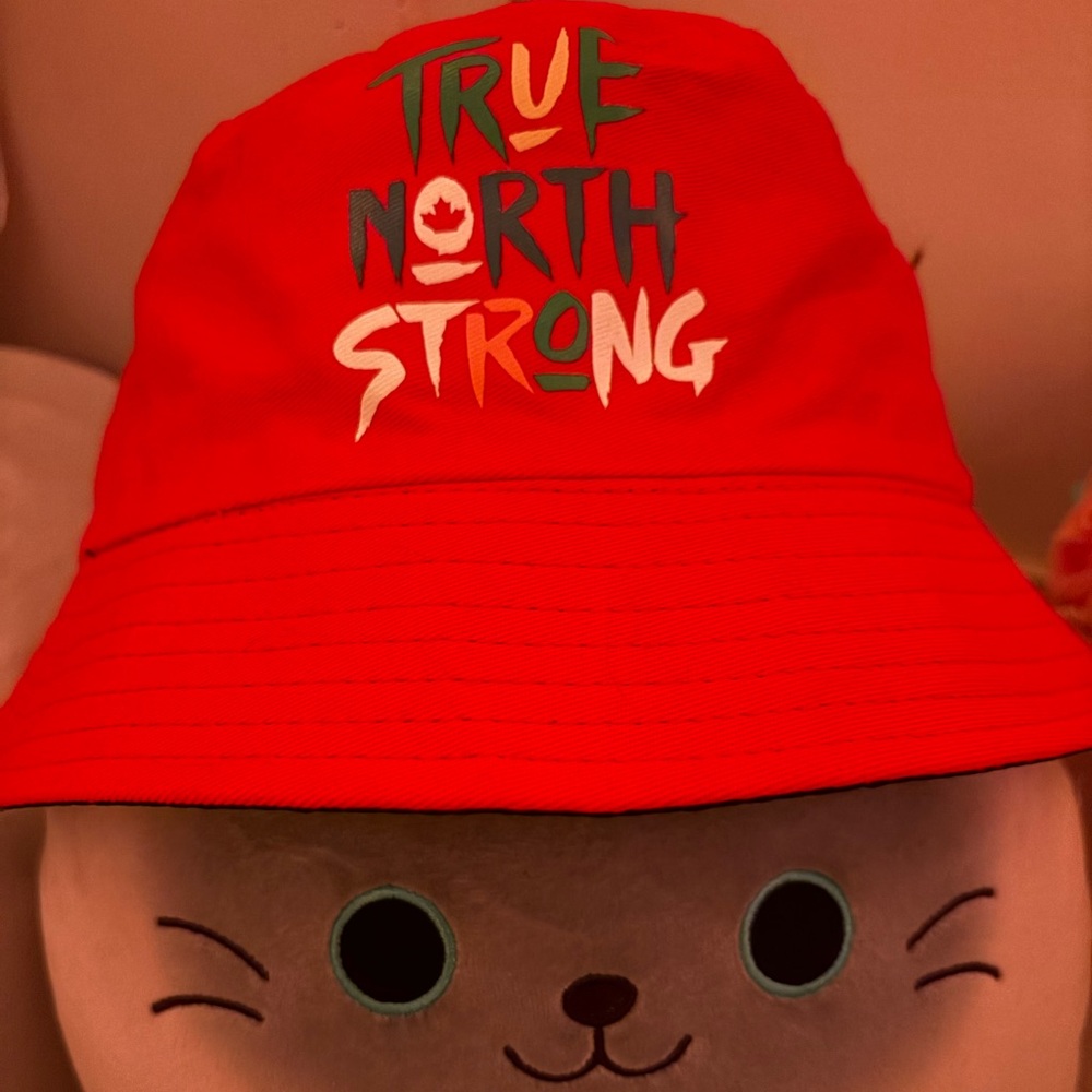 ✨ Bundle of 4 Hats - Streetwear / Casual Aesthetic ✨